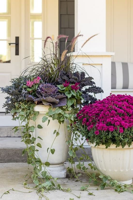 des fleurs à la campagne