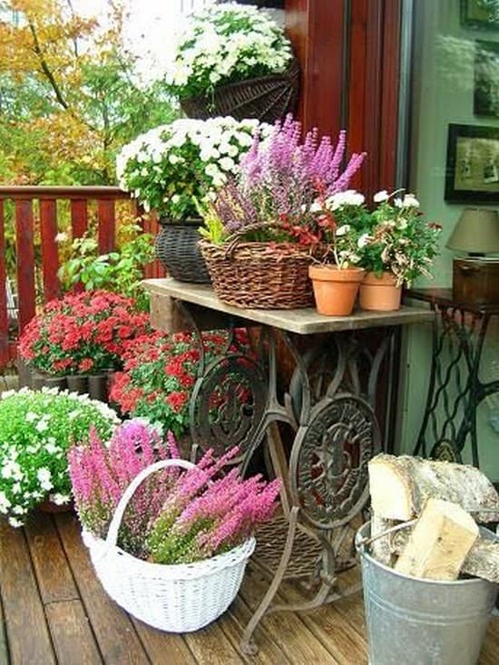 décor de cour de maison privée