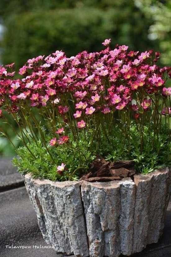 Décorations de jardin bricolage