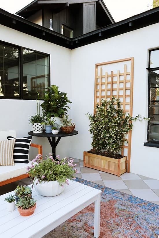 conception de la cour