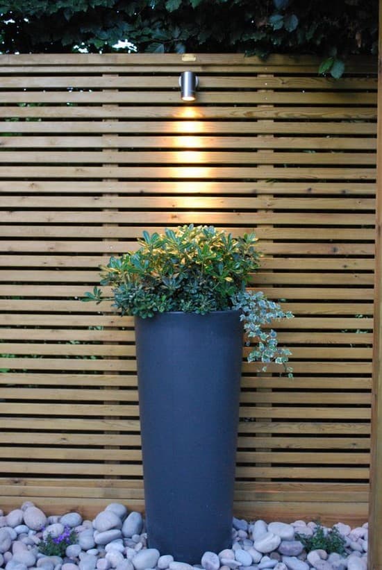 éclairage de la cour