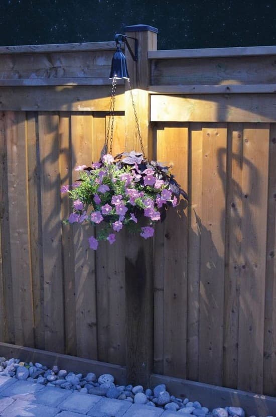 éclairage de la cour