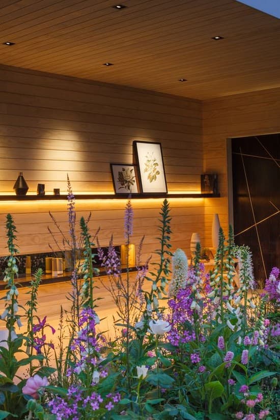 aménagement de la cour d'une maison privée