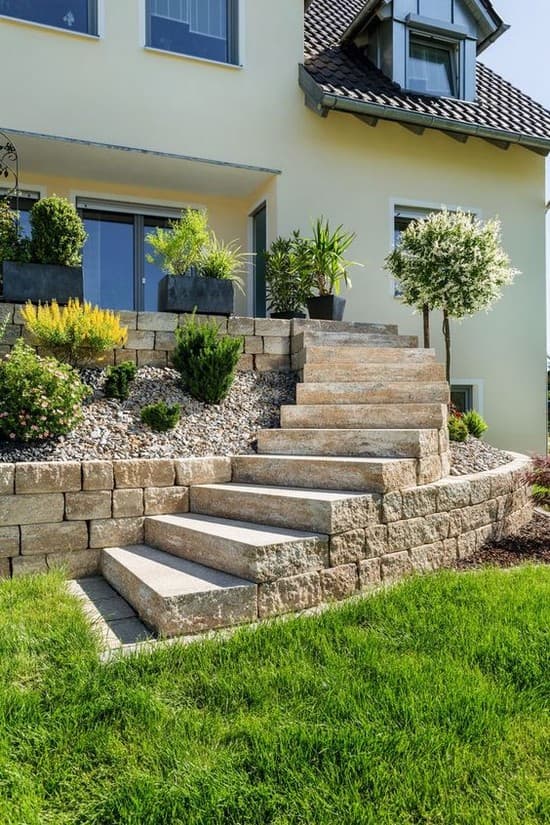 aménagement de la cour