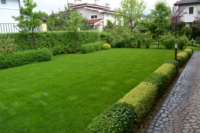 conception de la cour