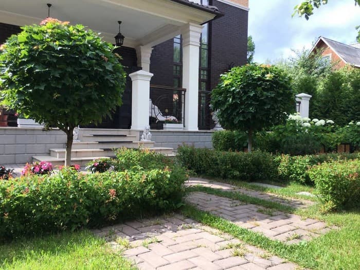 conception de la cour avant