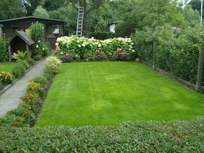 conception de cour dans une maison privée