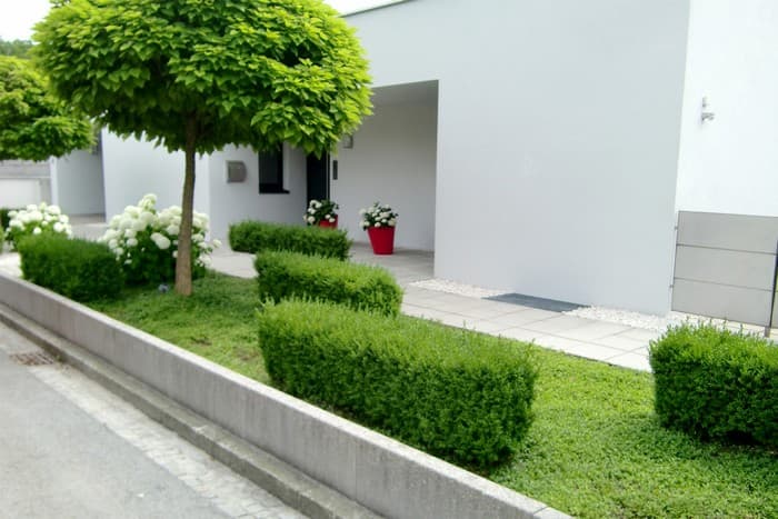 conception de cour dans une maison privée