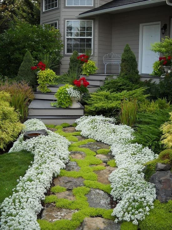 intérieur de la cour