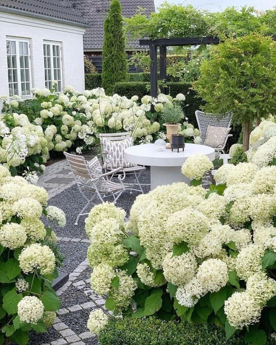 conception de paysage de chalet