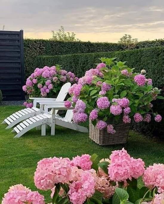 conception de l'intrigue