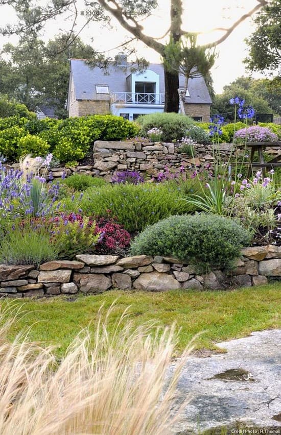 aménagement paysager du site