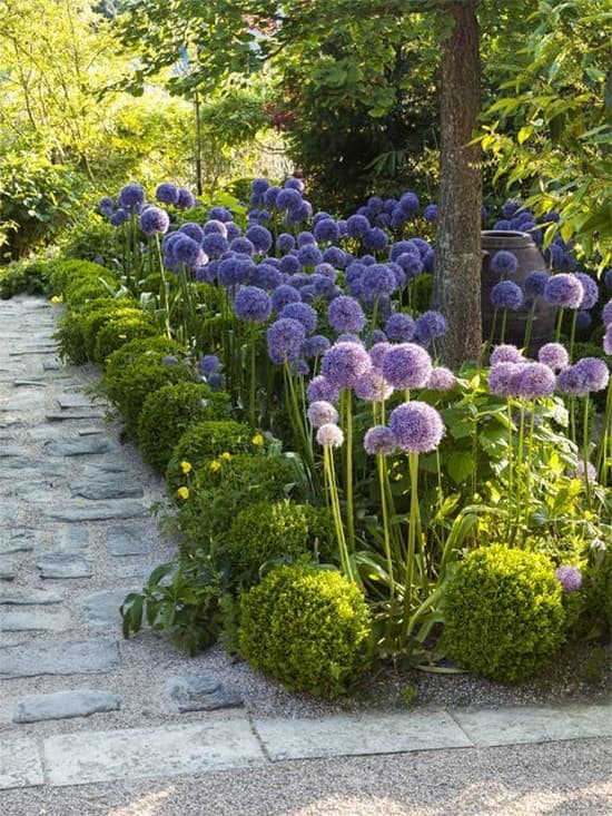 aménagement paysager du site