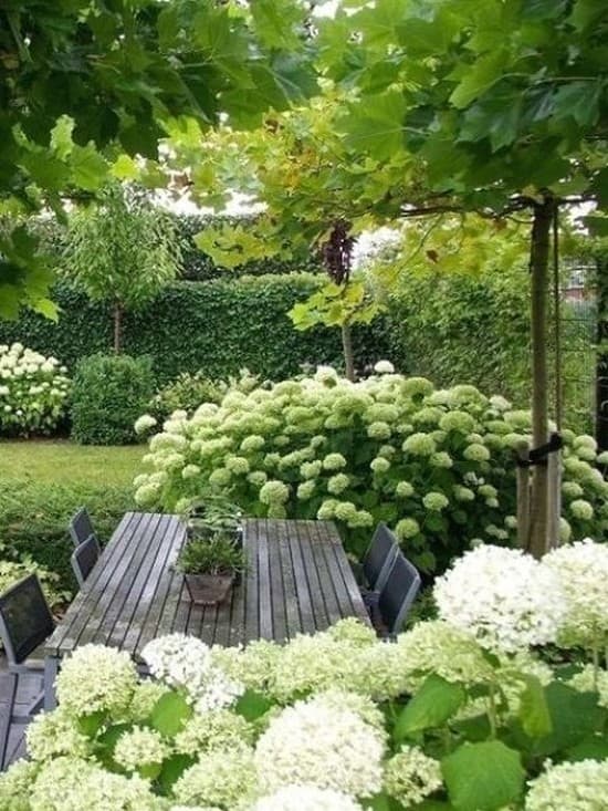 parterres de fleurs de conception de paysage