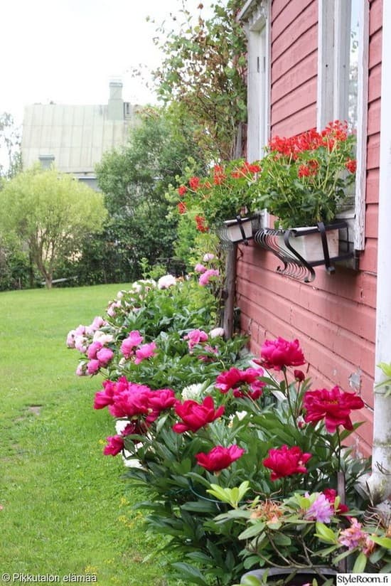 décoration de parterre de fleurs