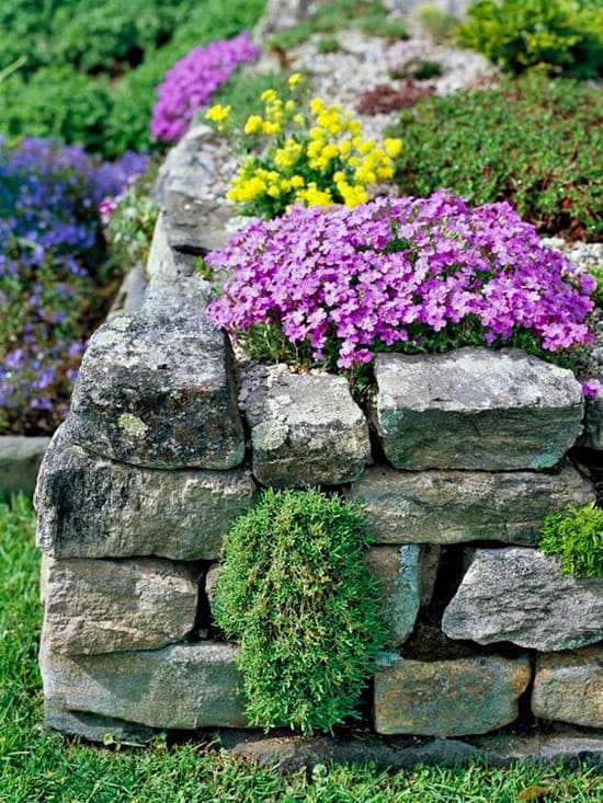 parterres de fleurs de conception de paysage