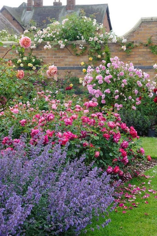 conception de parterre de fleurs