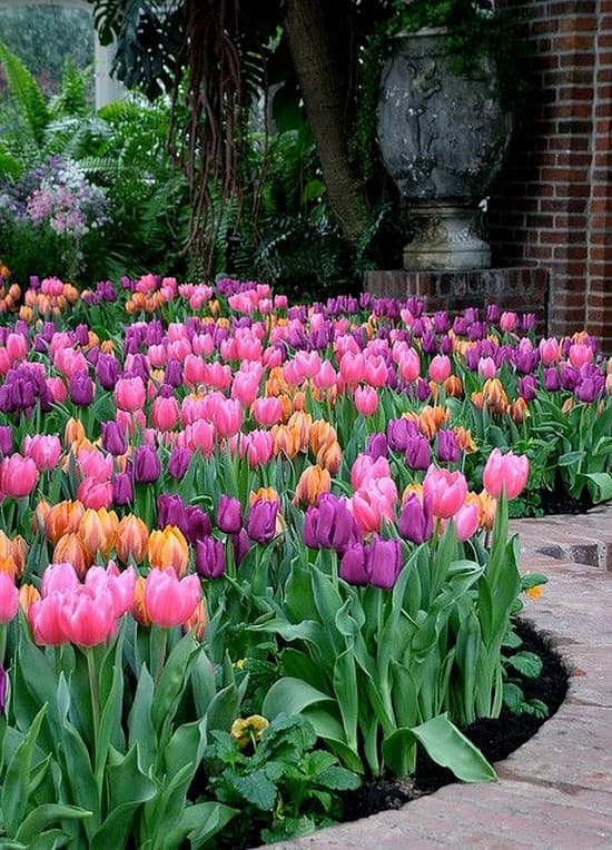 décoration de parterre de fleurs devant la maison