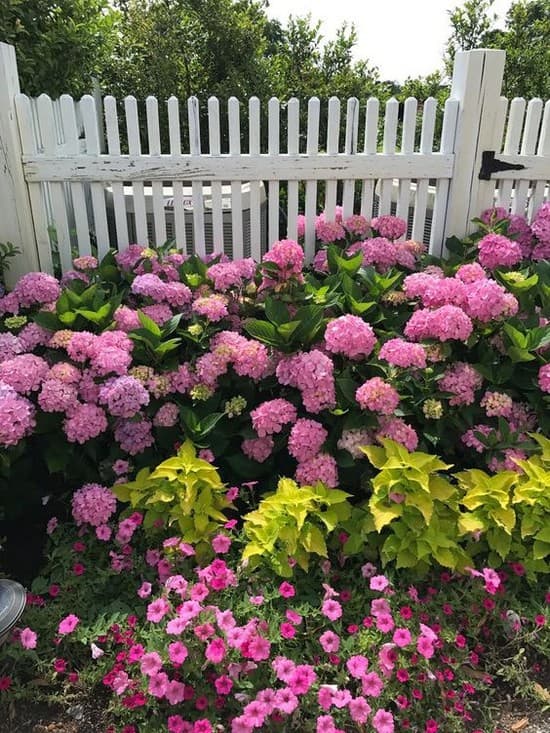 décoration de parterre de fleurs devant la maison