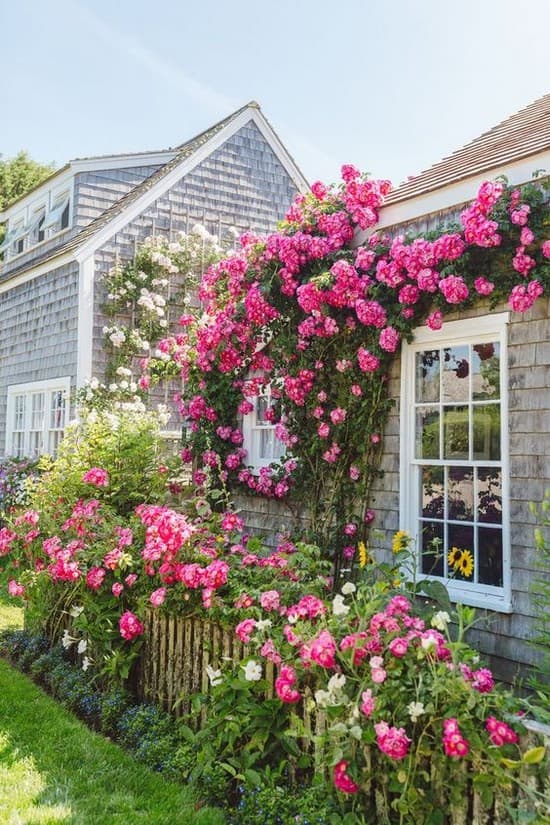 décoration de parterre de fleurs devant la maison