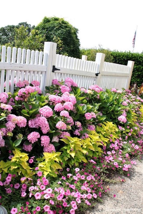 décoration de parterre de fleurs devant la maison