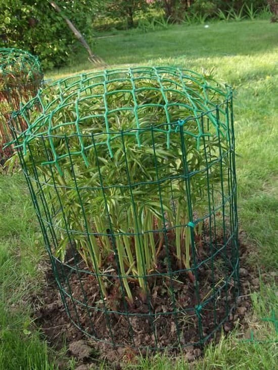 soutien pour l'achat de fleurs