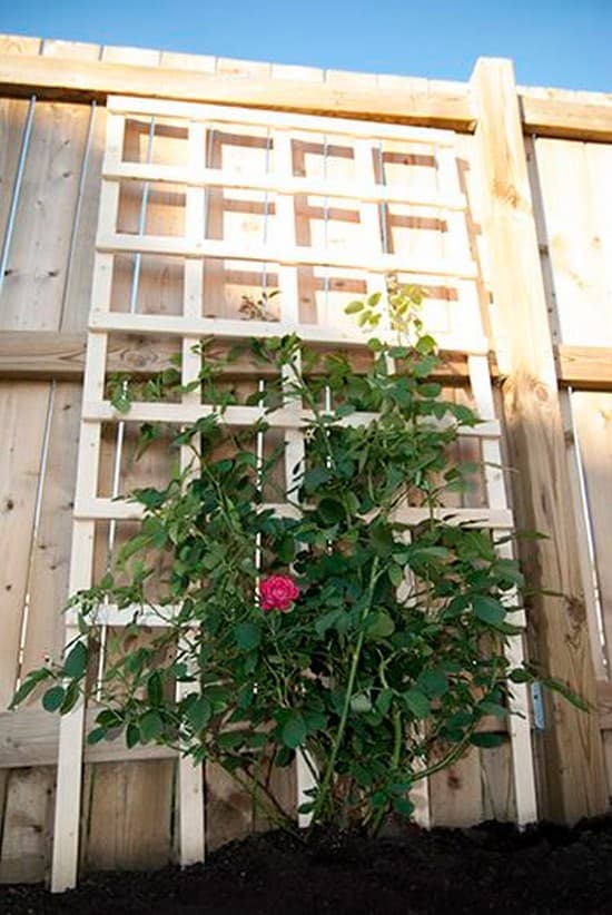 Support bricolage pour plantes