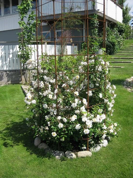 supports en fer forgé pour roses