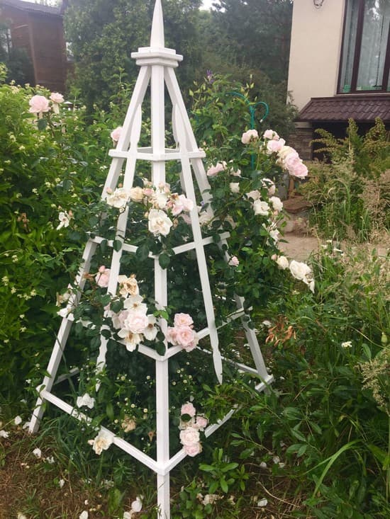 accessoires de plantes