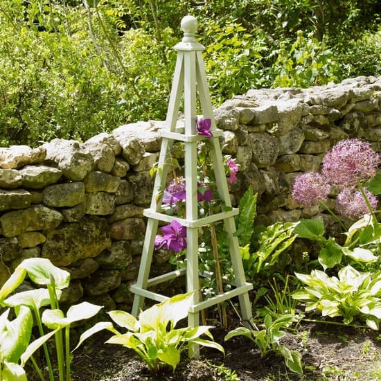 support pour plantes grimpantes