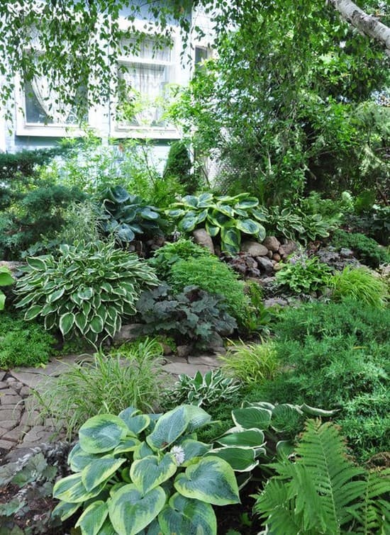 parterres de fleurs à la campagne