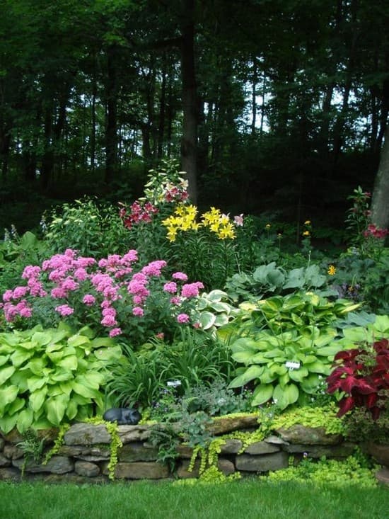 conception de parterre de fleurs