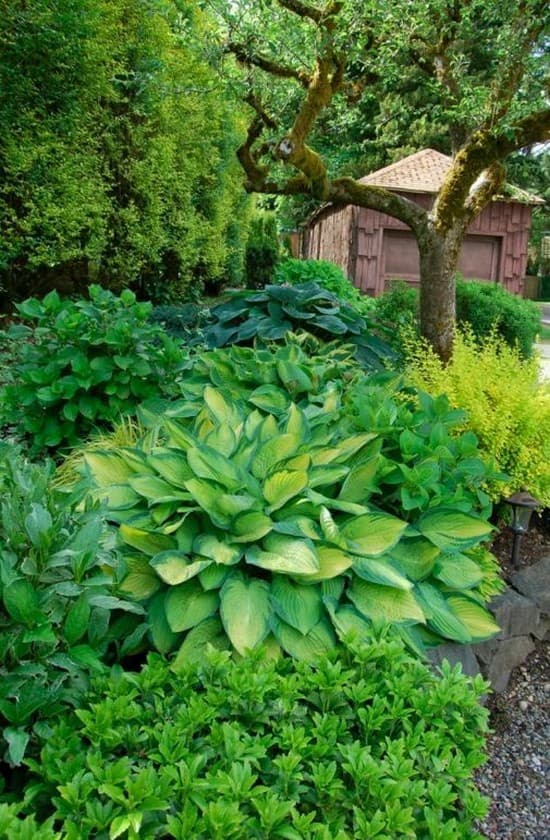 conception de parterre de fleurs