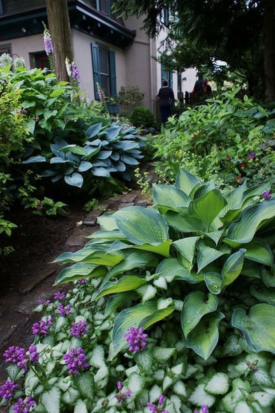 beaux parterres de fleurs