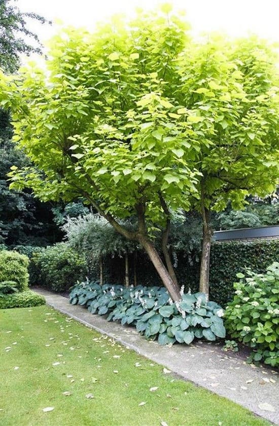 parterres de fleurs à la campagne
