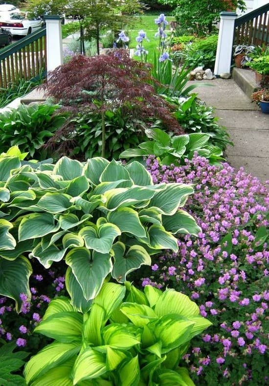 décoration de parterre de fleurs