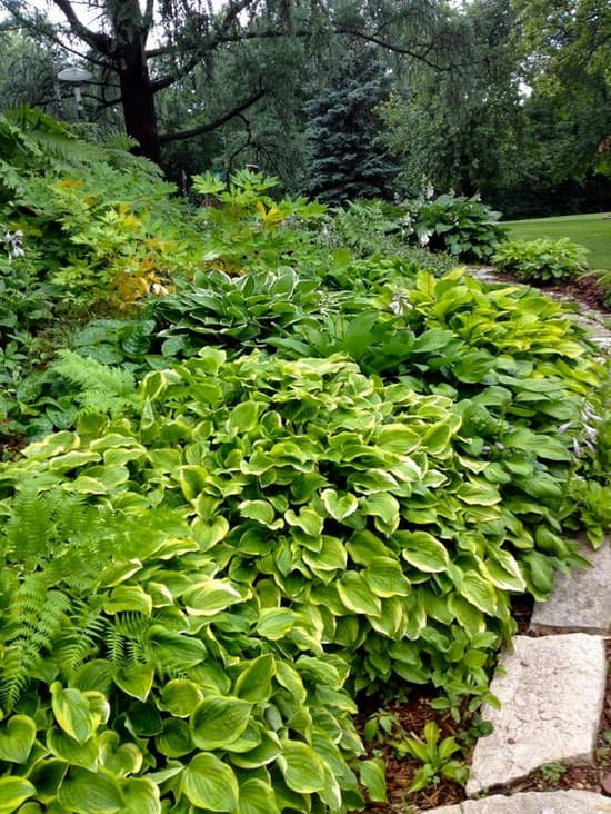 décoration de parterre de fleurs