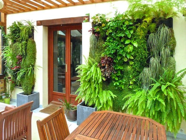 fougère dans le parterre de fleurs