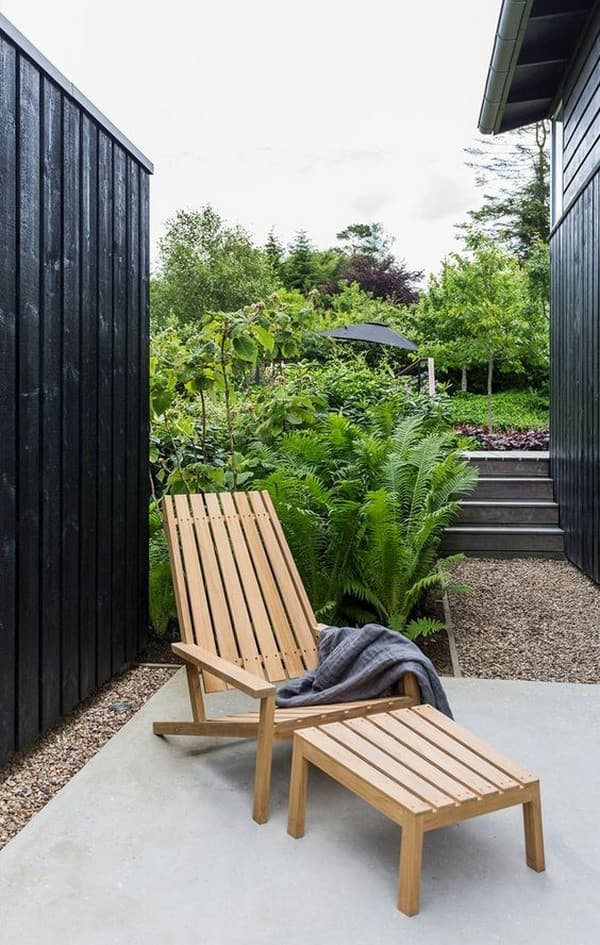 fougère dans le parterre de fleurs