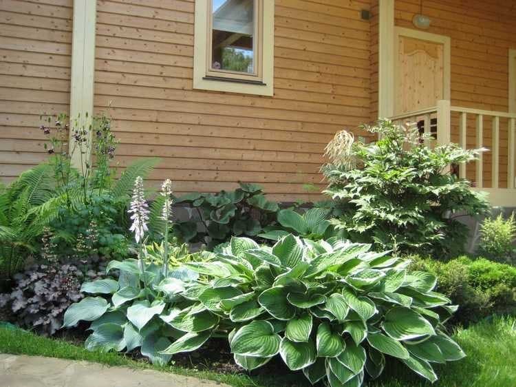 conception de parterre de fleurs