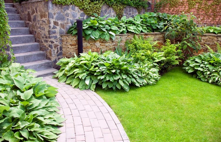 conception de parterre de fleurs