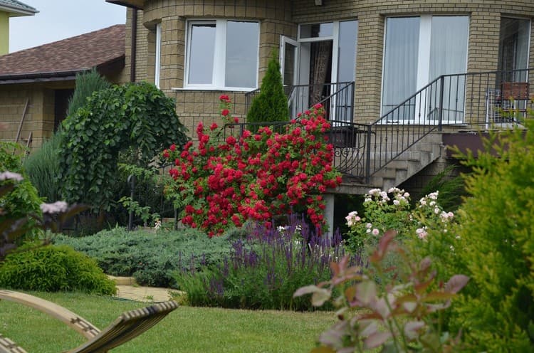 conception de parterre de fleurs