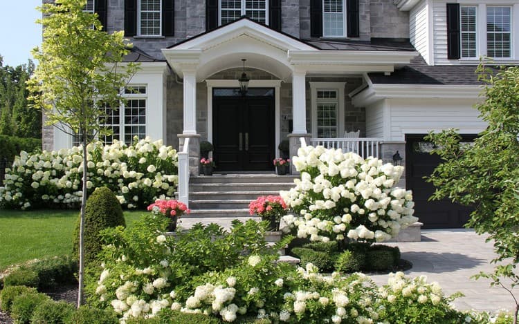 conception de parterre de fleurs