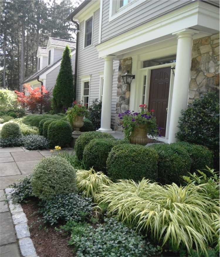 conception de parterre de fleurs