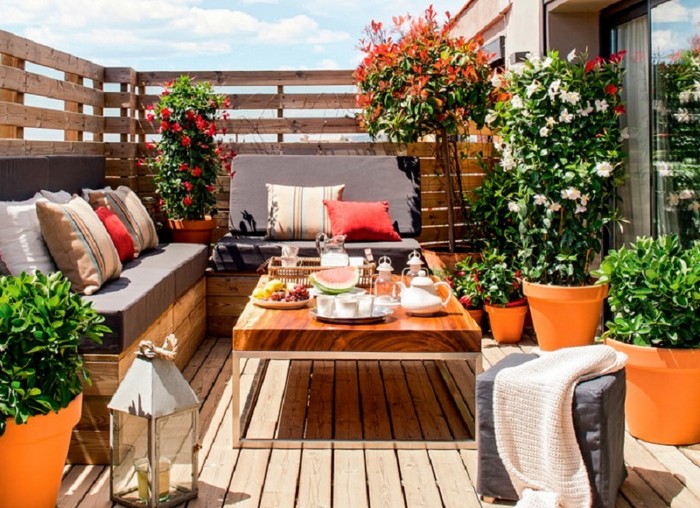 aménagement de la cour