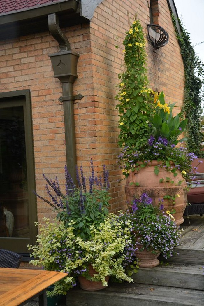 conception de cour de maison privée