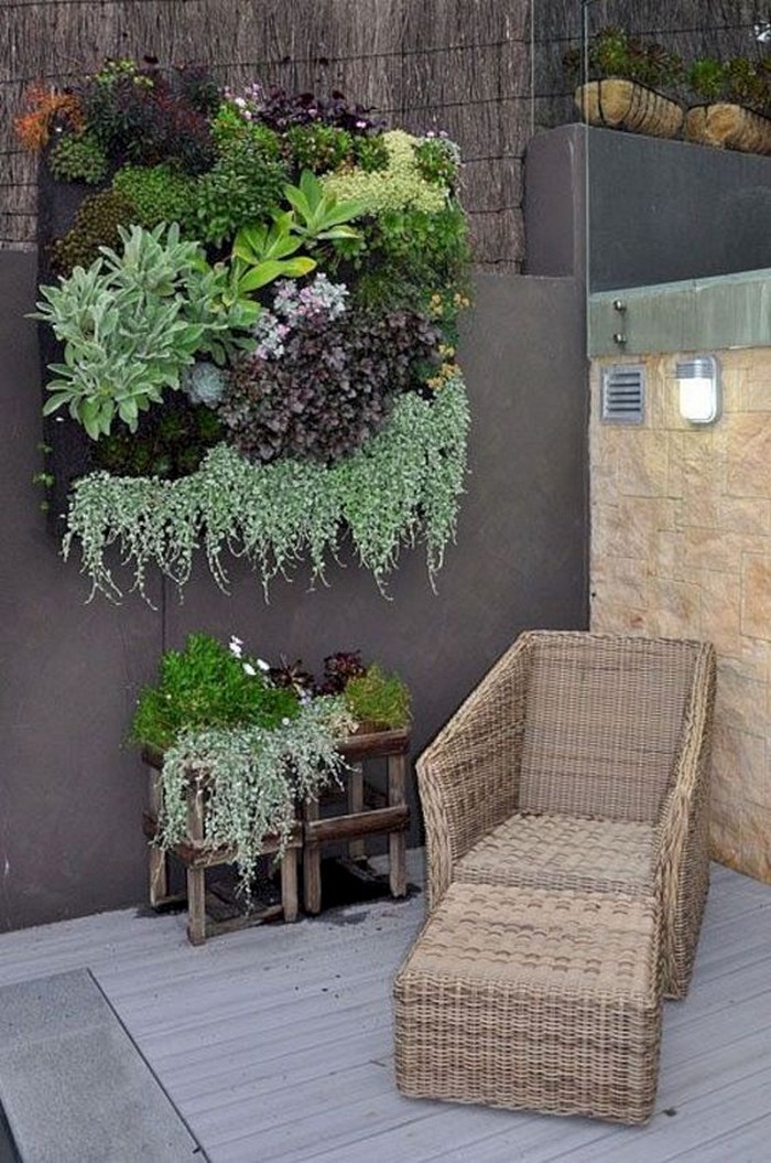 conception de cour de maison privée