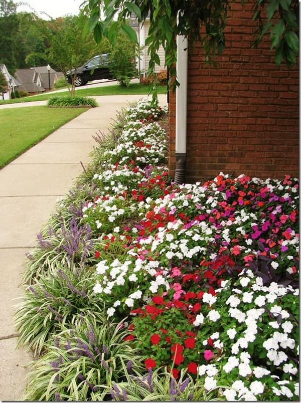 parterres de fleurs de conception de paysage