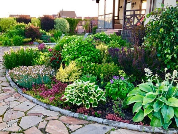 parterres de fleurs de conception de paysage