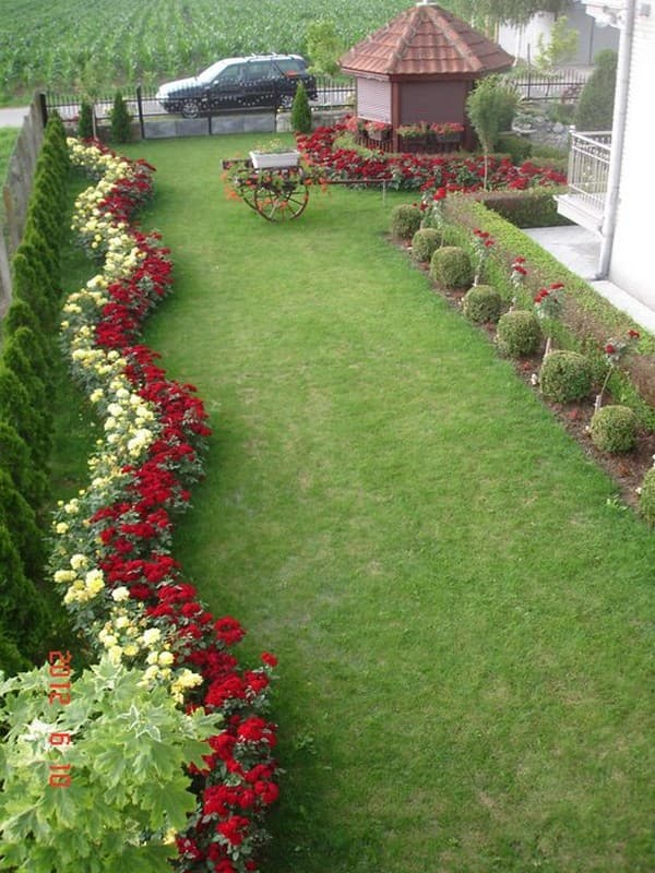 parterres de fleurs de conception de paysage